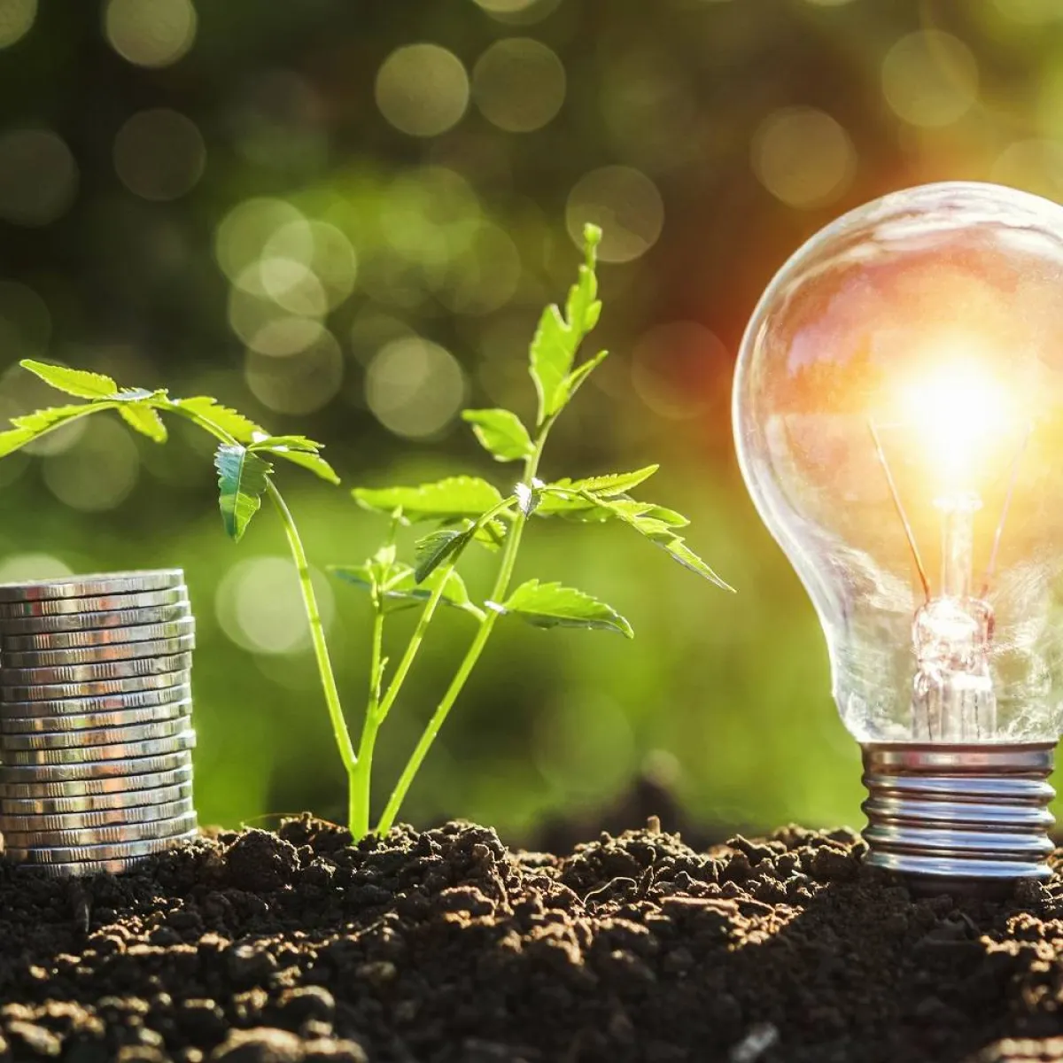 صورة ترمز لقيمة الادخار