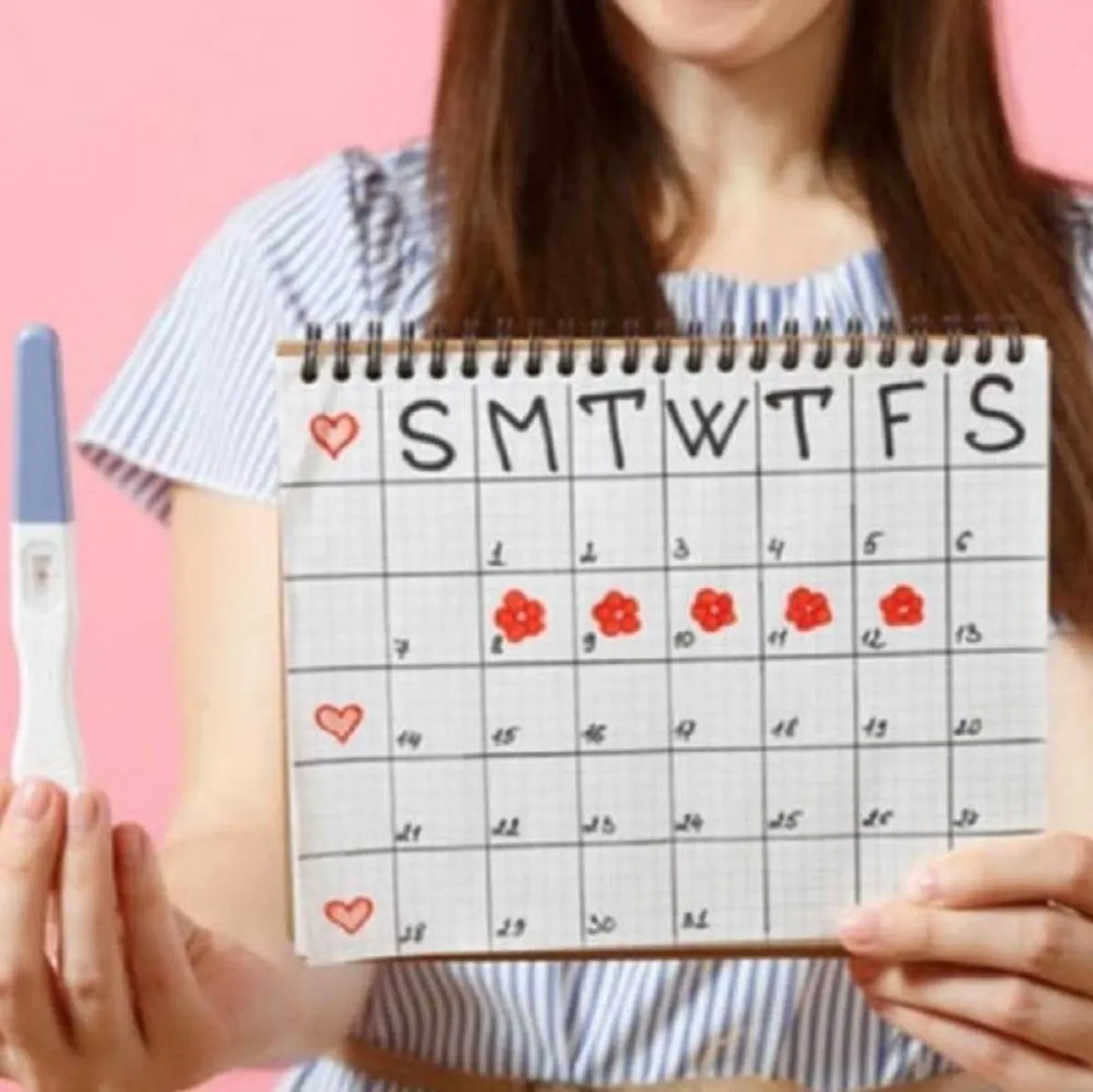 صورة تعبر عن حسابات أيام التبويض