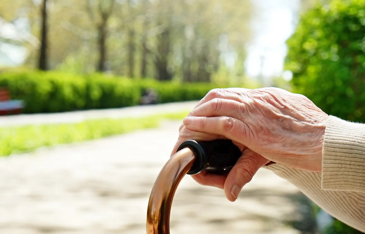 دول يوجد بها عدد كبير من المسنين في اليوم العالمي للمسنين