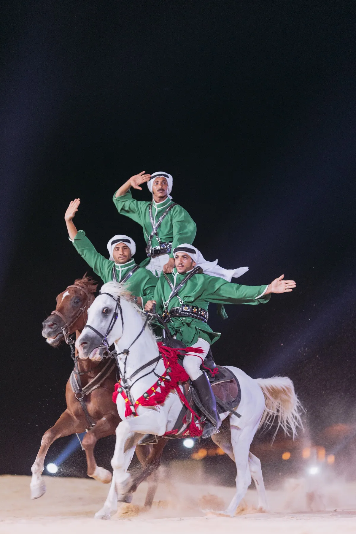 الفعاليات خلال الحفل