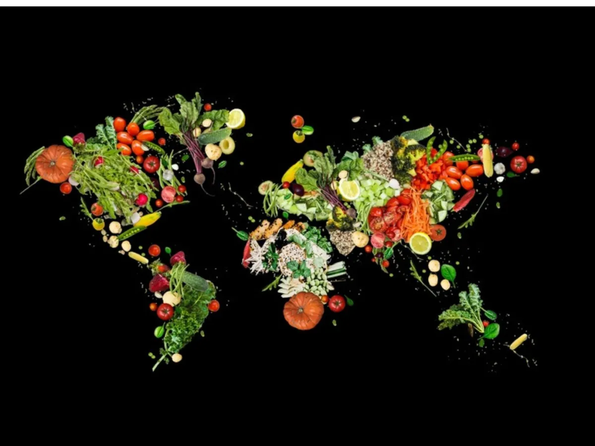 يوم الأغذية العالمي 