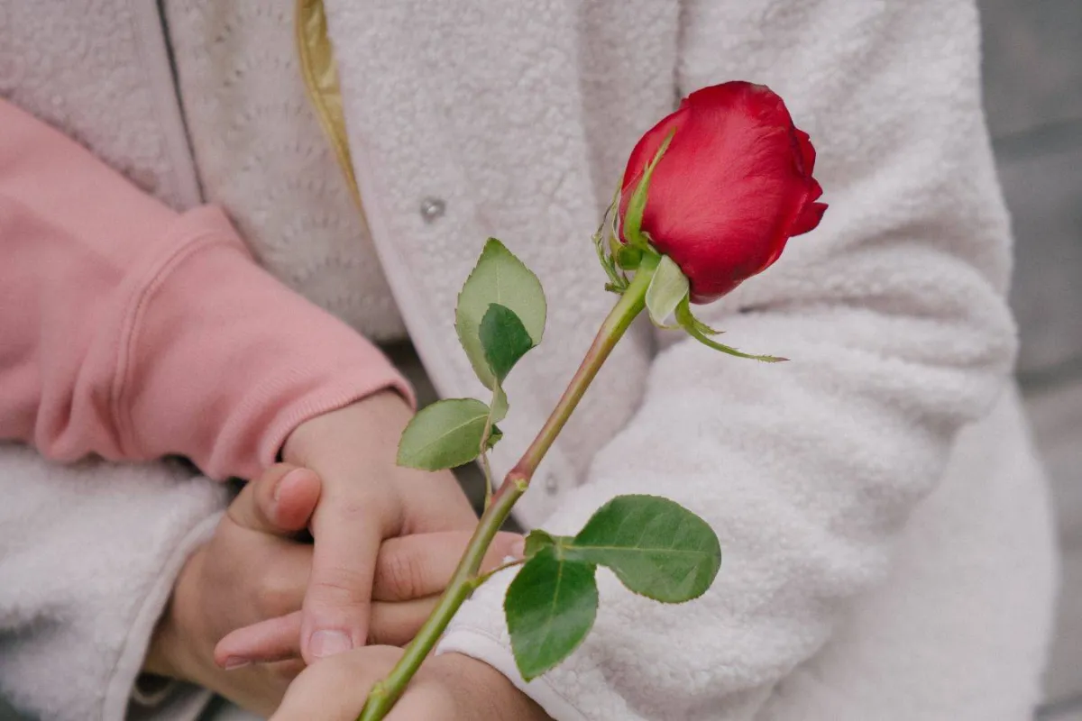 الفرق بين الرومانسية والرومانتيكية