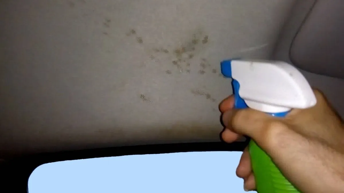 كيفية تنظيف سقف السيارة من الداخل؟