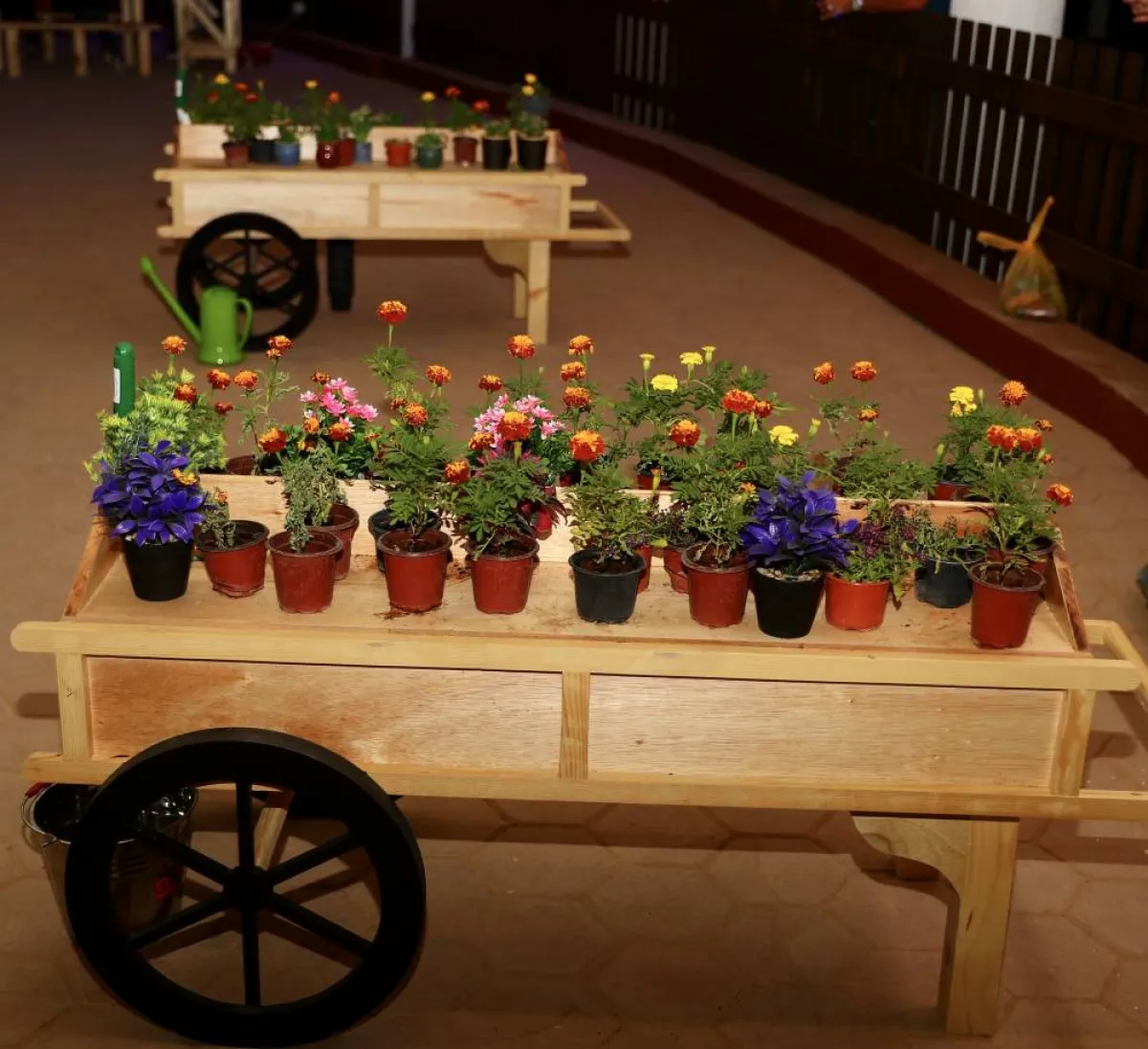 تجربة الزراعة