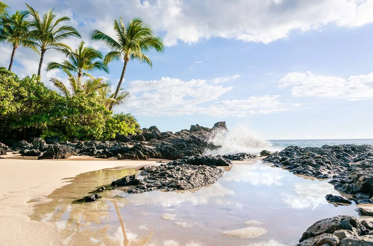 إن مناخ ماوي الاستوائي يجعلها وجهة جذابة على مدار السنة