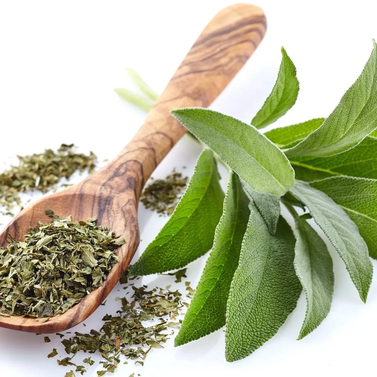 صورة تعبيرية للزعتر