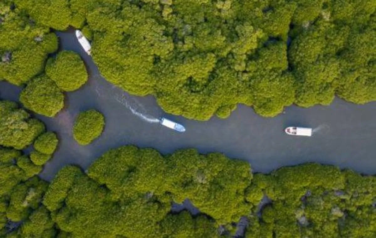 محمية جزر فرسان تنضم  إلى برنامج الإنسان والمحيط الحيوي (MAB) 