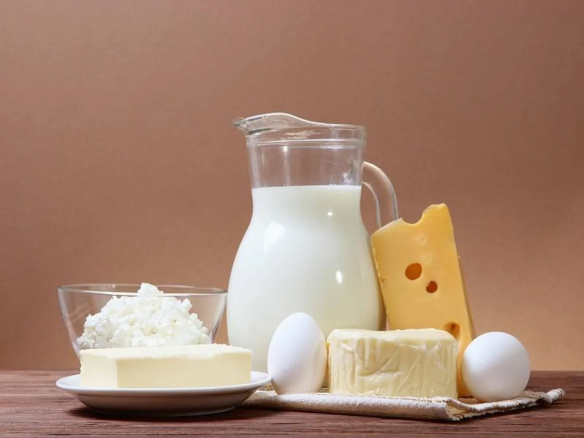 منتجات الألبان والبيض من الأطعمة الغنية باليود الضروري لصحة الغدة الدرقية