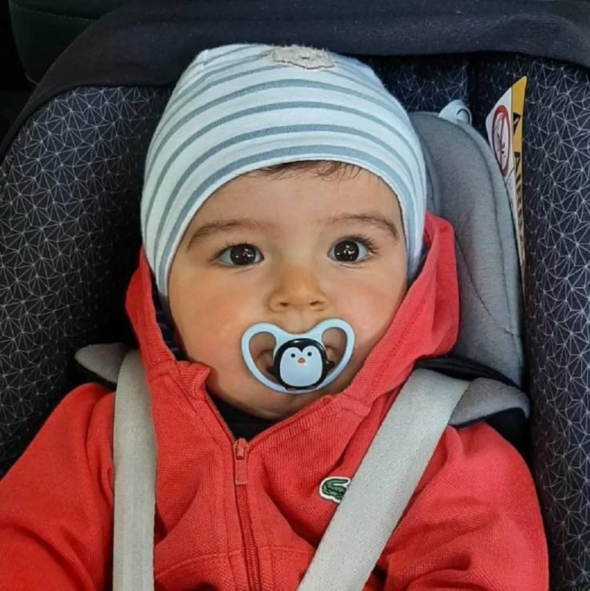 صورة لطفل يجلس داخل العربة