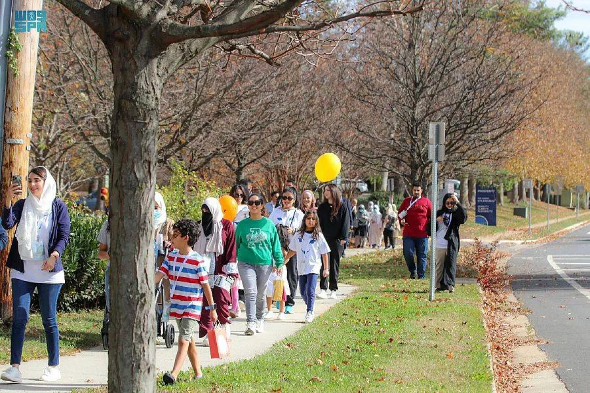 القطط البرية