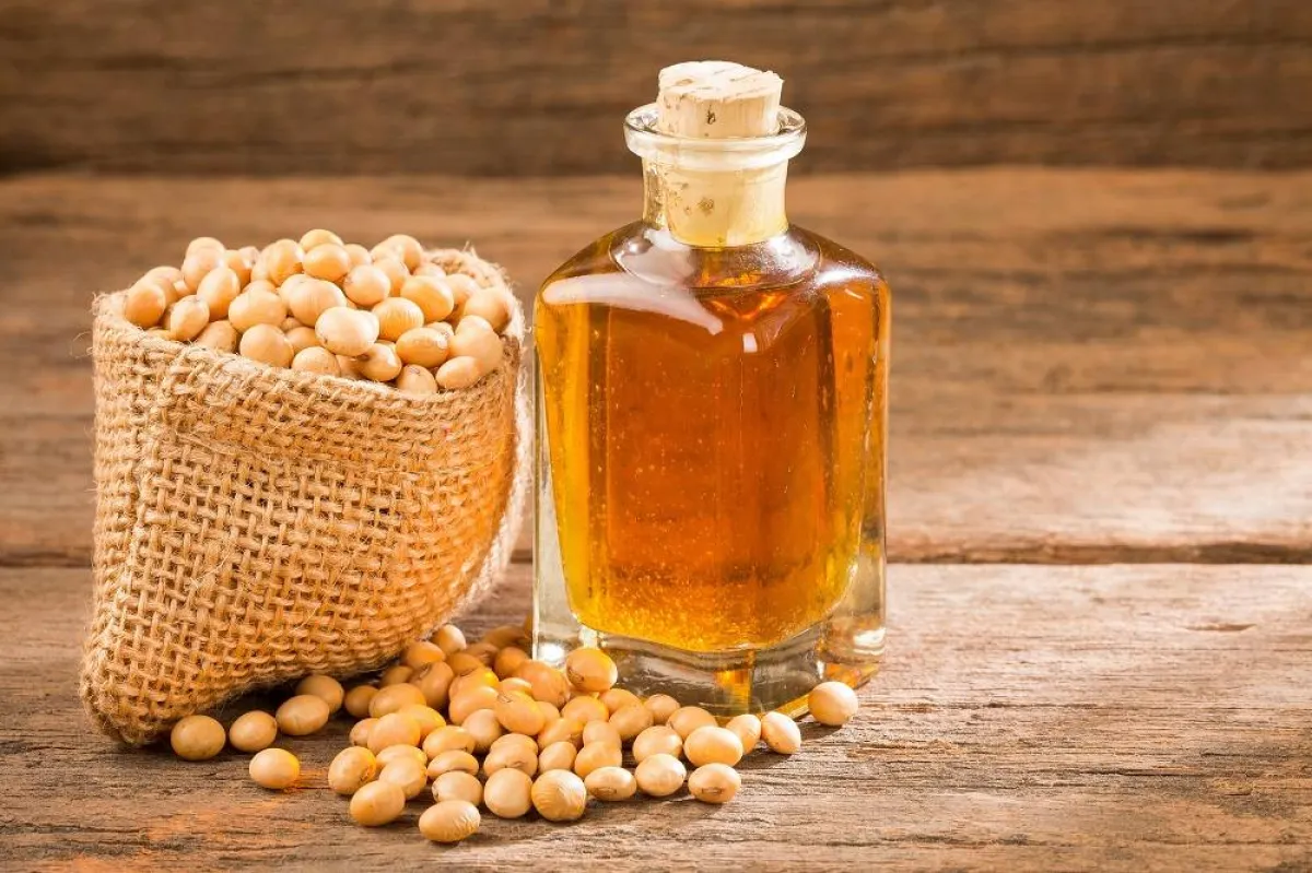زيت الصويا