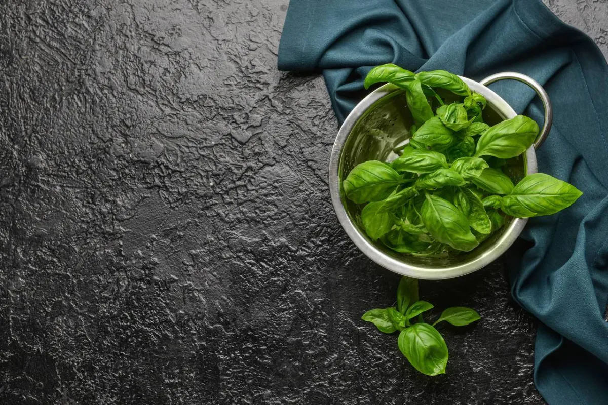 صورة للريحان