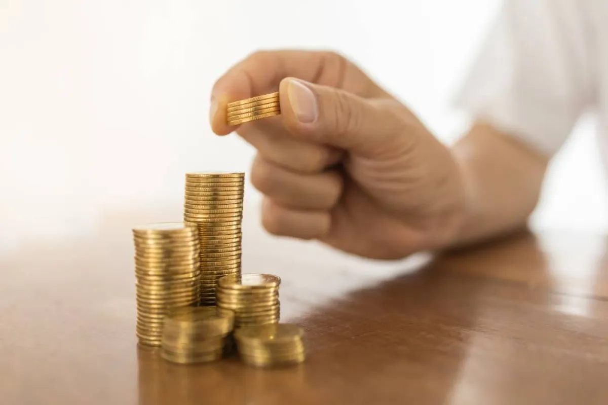 الشركات تصدر الأسهم لكسب المال