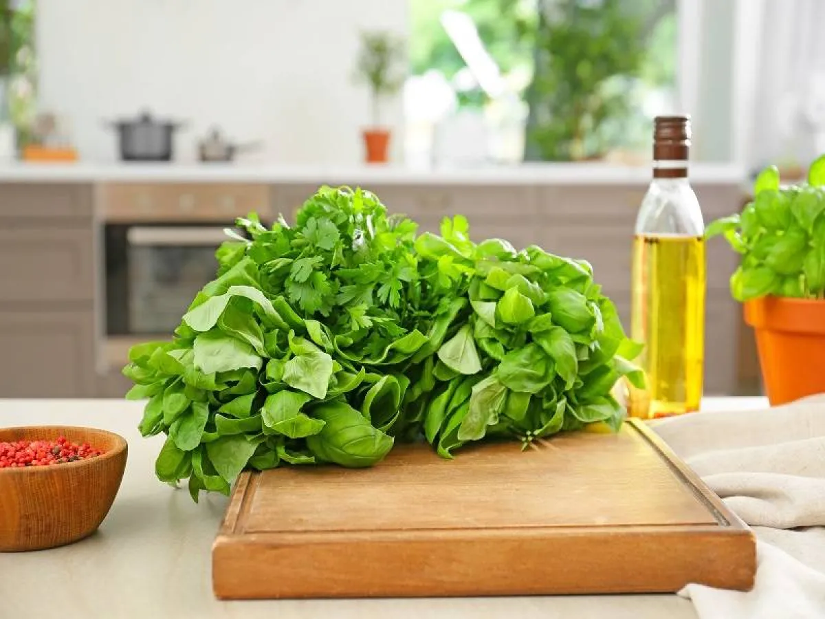 زيت الريحان من الزيوت الأساسية الفعّالة في علاج عدوى المسالك البولية (المصدر: Adope.stock )