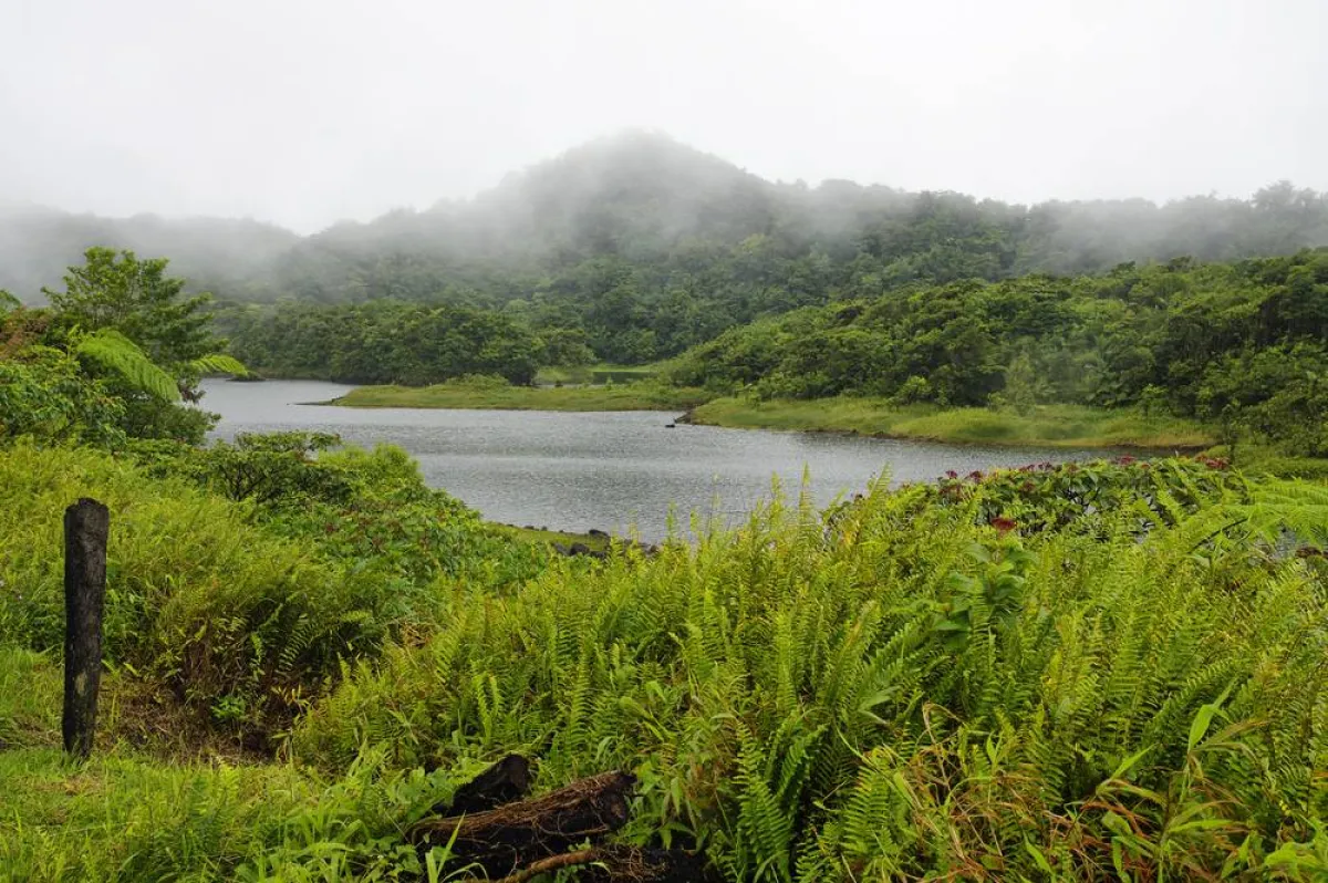 حديقة مورن تروا بيتونز الوطنية