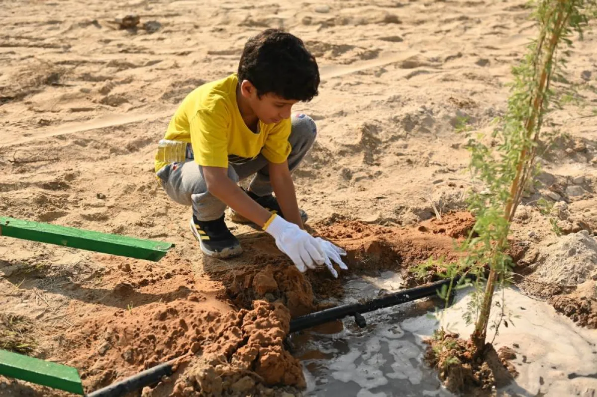 بلدية أبوظبي تعزز المظهر الجمالي لمداخل ومخارج العاصمة. الصورة من بلدية أبوظبي