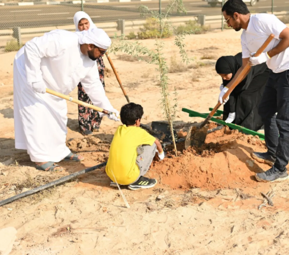  مبادرة "من أجل إماراتنا نزرع". الصورة من بلدية أبوظبي