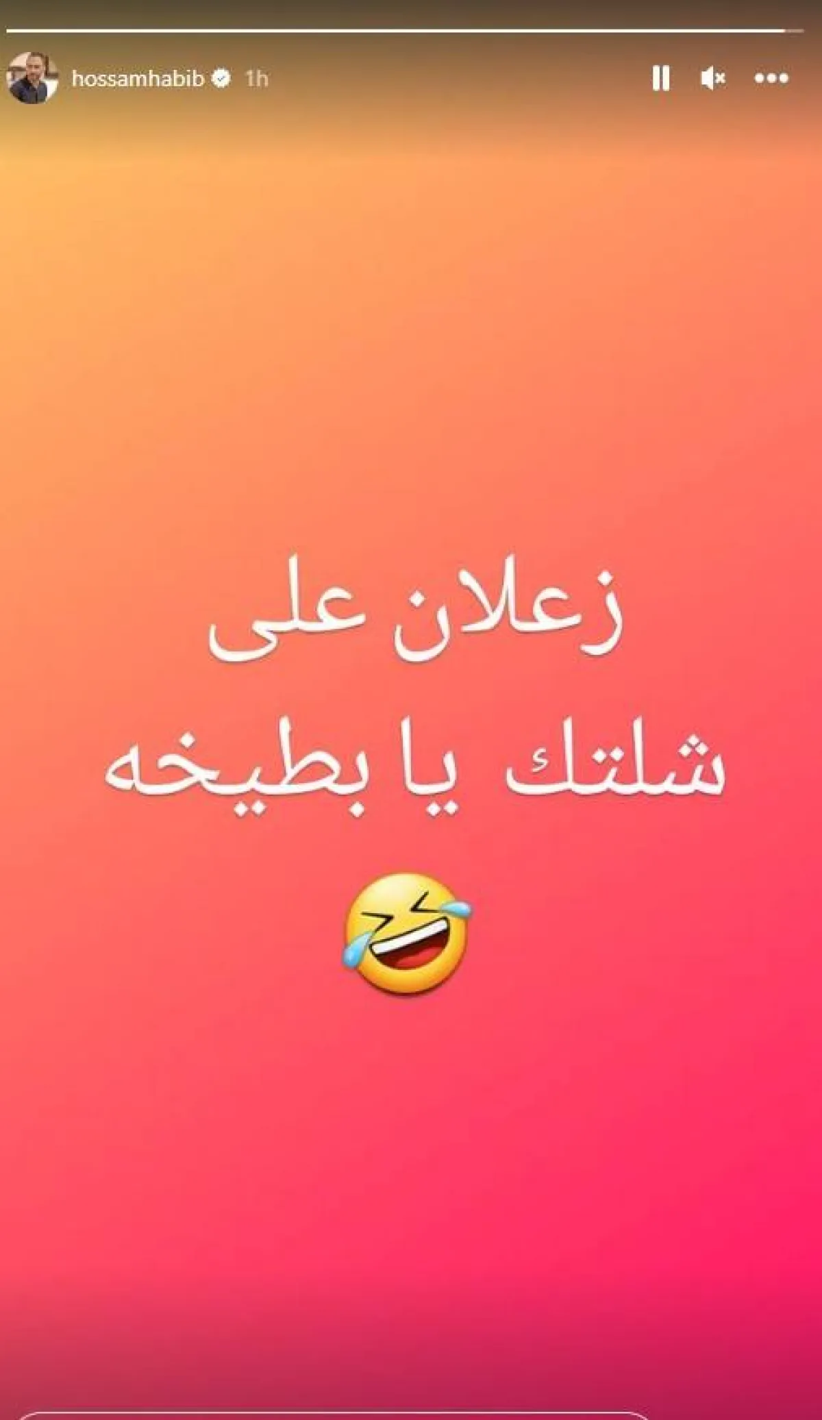 سكرين شوت من خاصية " ستوري" عبر الحساب الرسمي للفنان حسام حبيب على انستغرام
