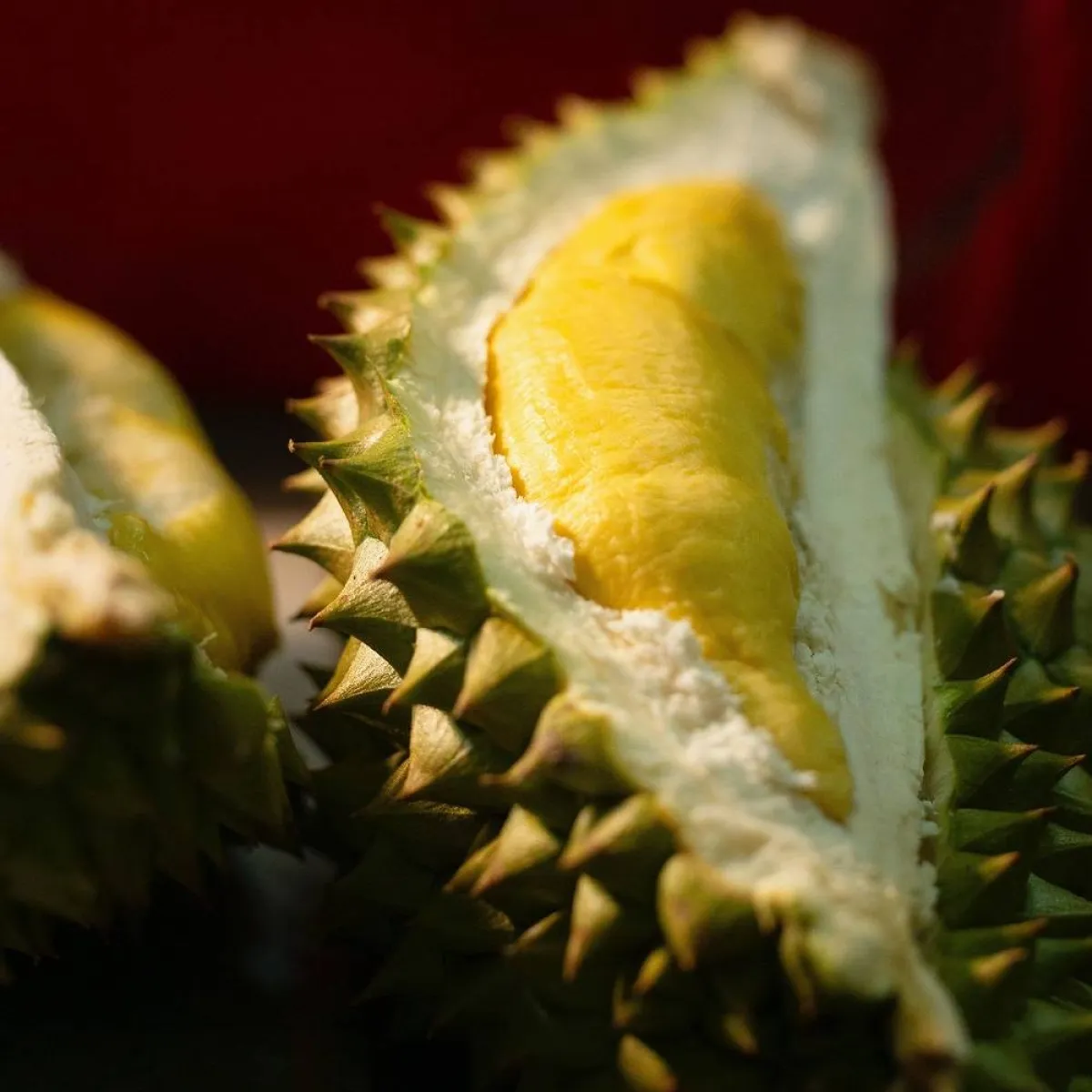 صورة لفاكهة الدوريان مقشرة