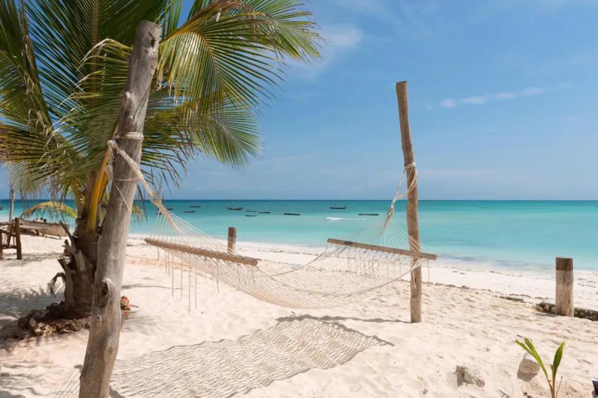 الاستمتاع بالطبيعة عند السفر إلى تنزانيا