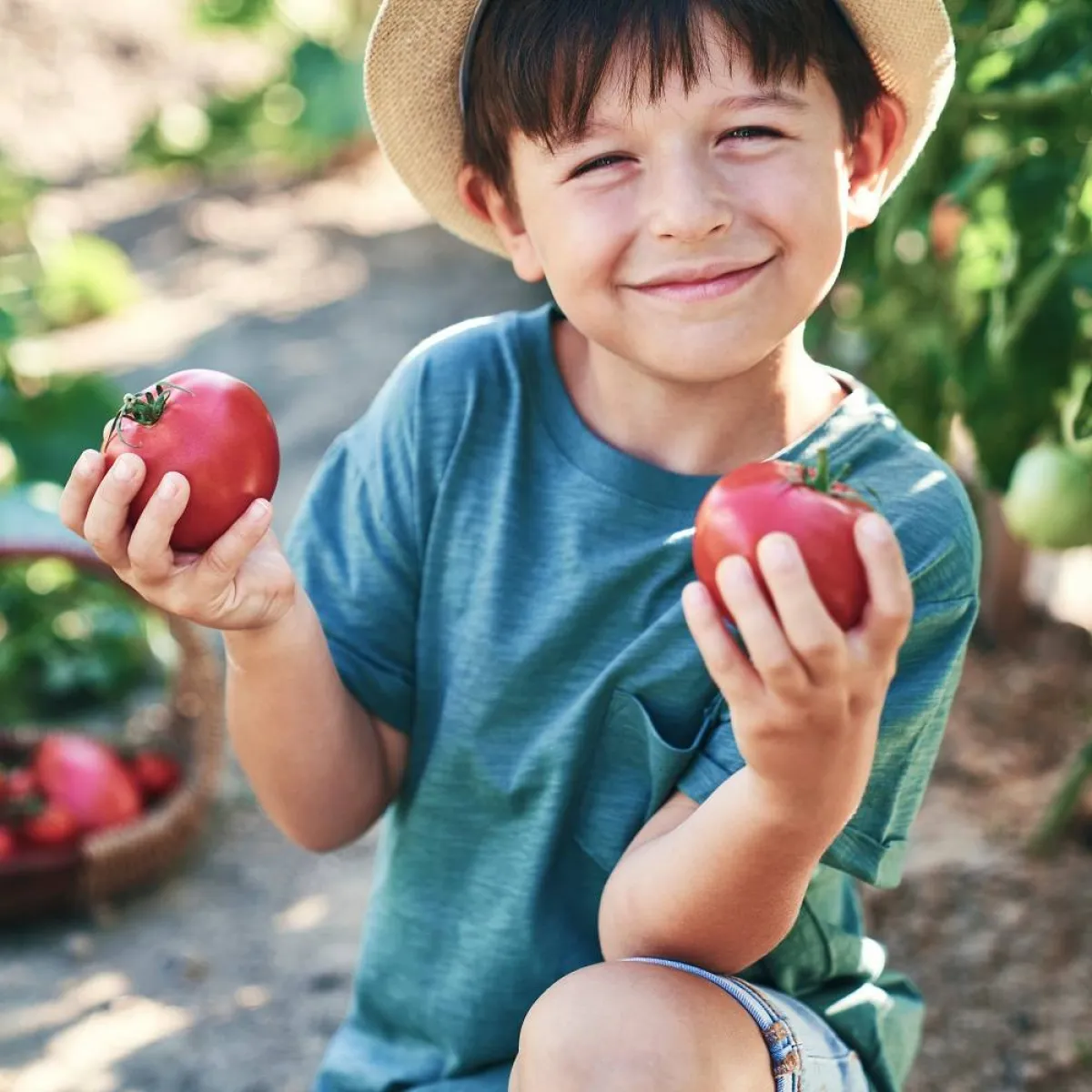 صورة لطفل يمسك بالطماطم