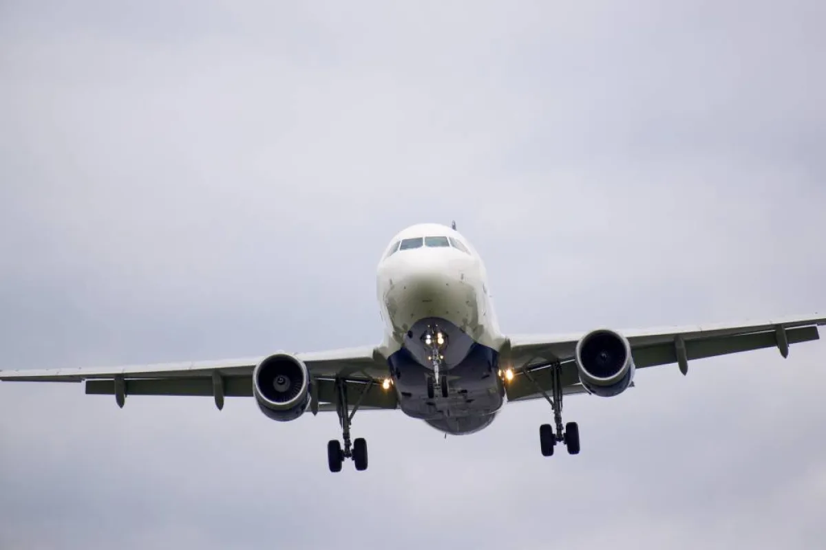 سرب طيور يؤخر رحلة للخطوط اليمنية لساعات