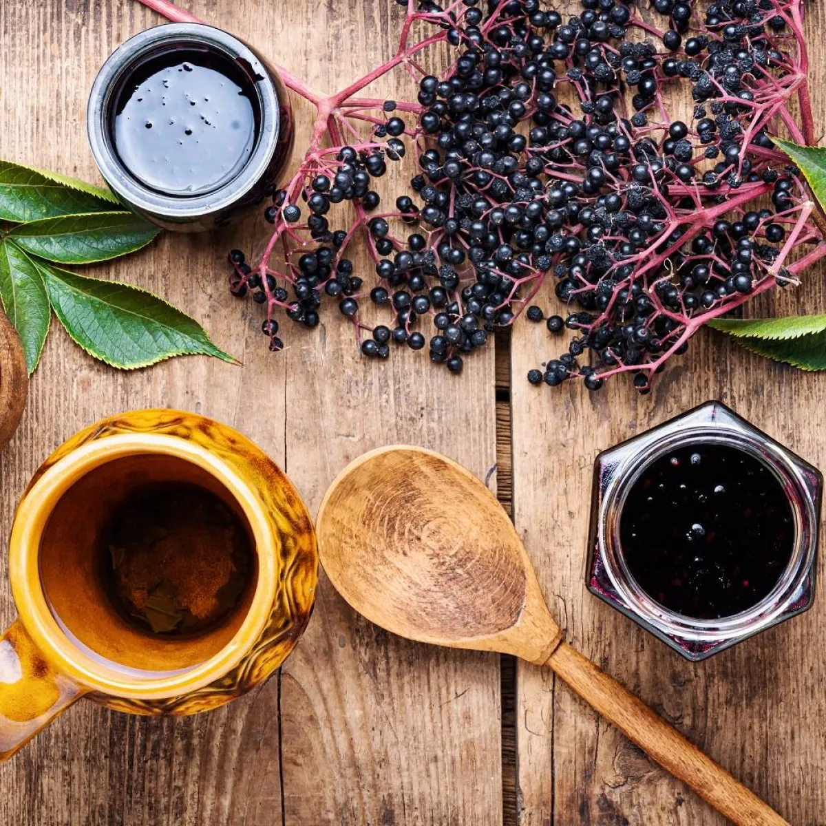 صورة لثمار البيلسان وطرق لاستعمالها