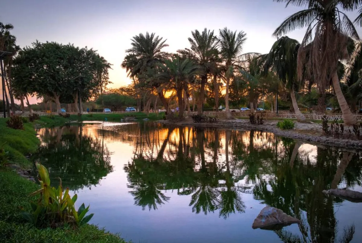 البحيرة في حديقة ينبع الصناعية