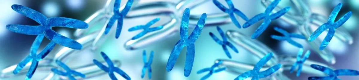 صورة تعبيرية عن تسلسل إكسوم