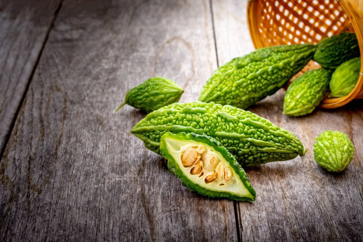 صورة للقرع الزجاجي