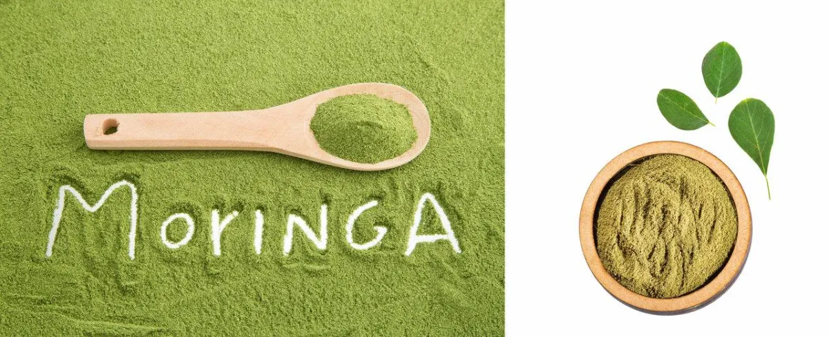 صورة لأوراق المورينجا