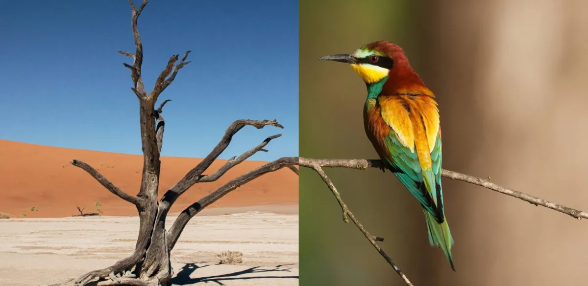 منتدى مبادرة السعودية الخضراء