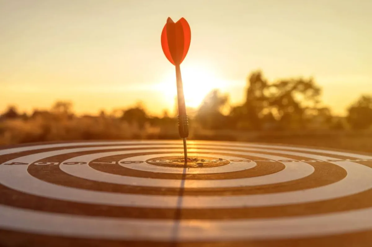 أهداف الشركة