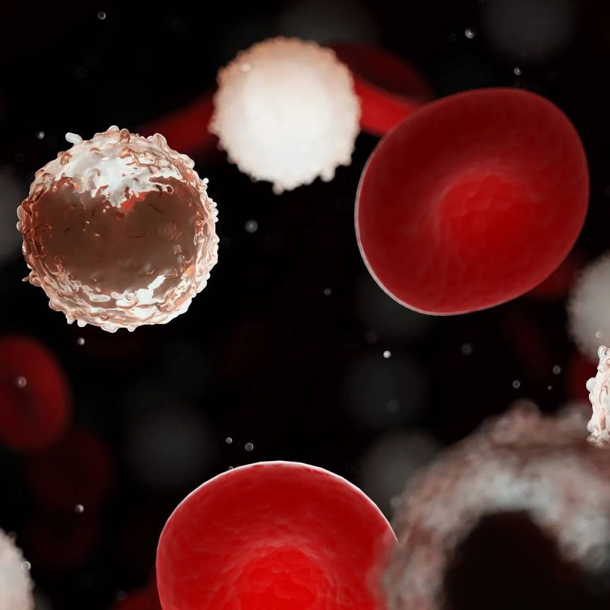 صورة لكرات الدم الحمراء