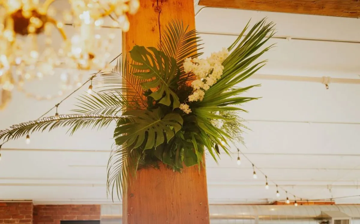 النخيل الطبيعي لتزيين حفلات الخطوبة، كما الأعراس