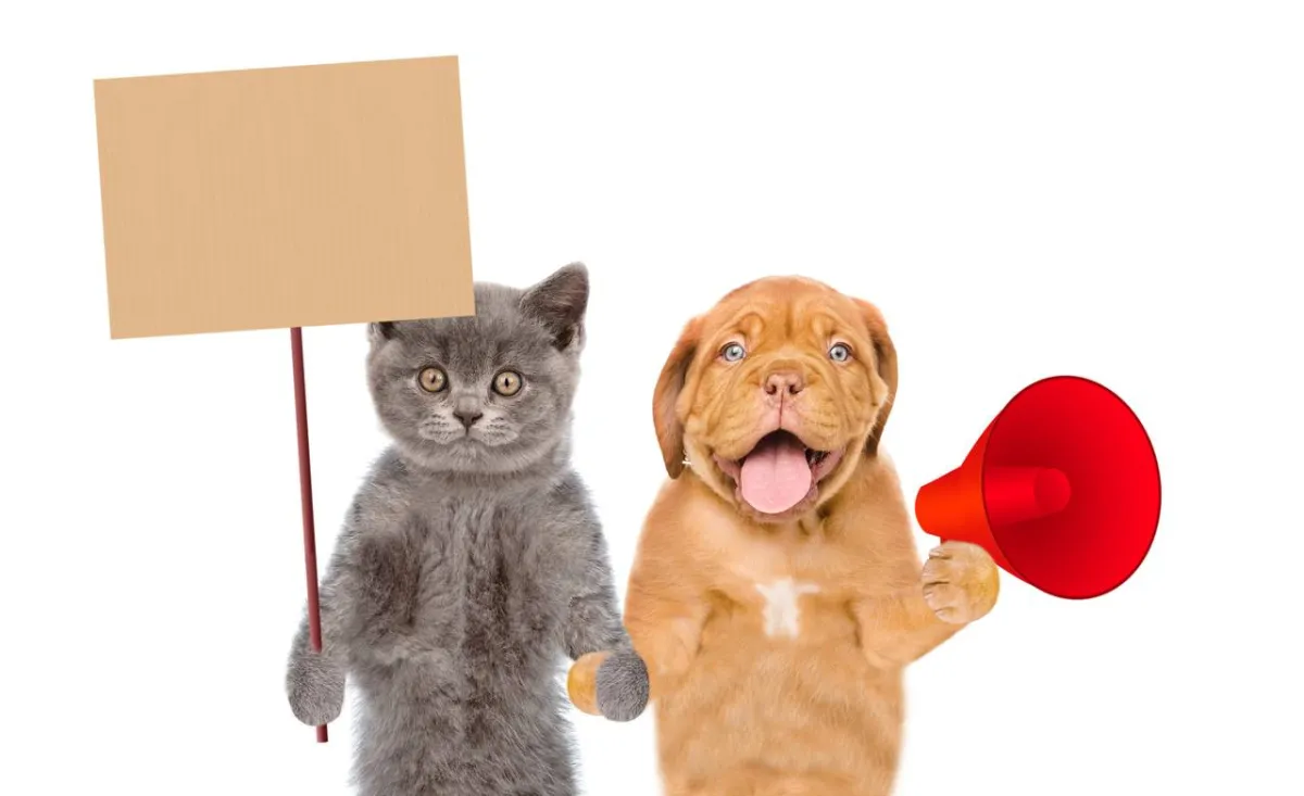 صورة لقطة وكلب يتكلم