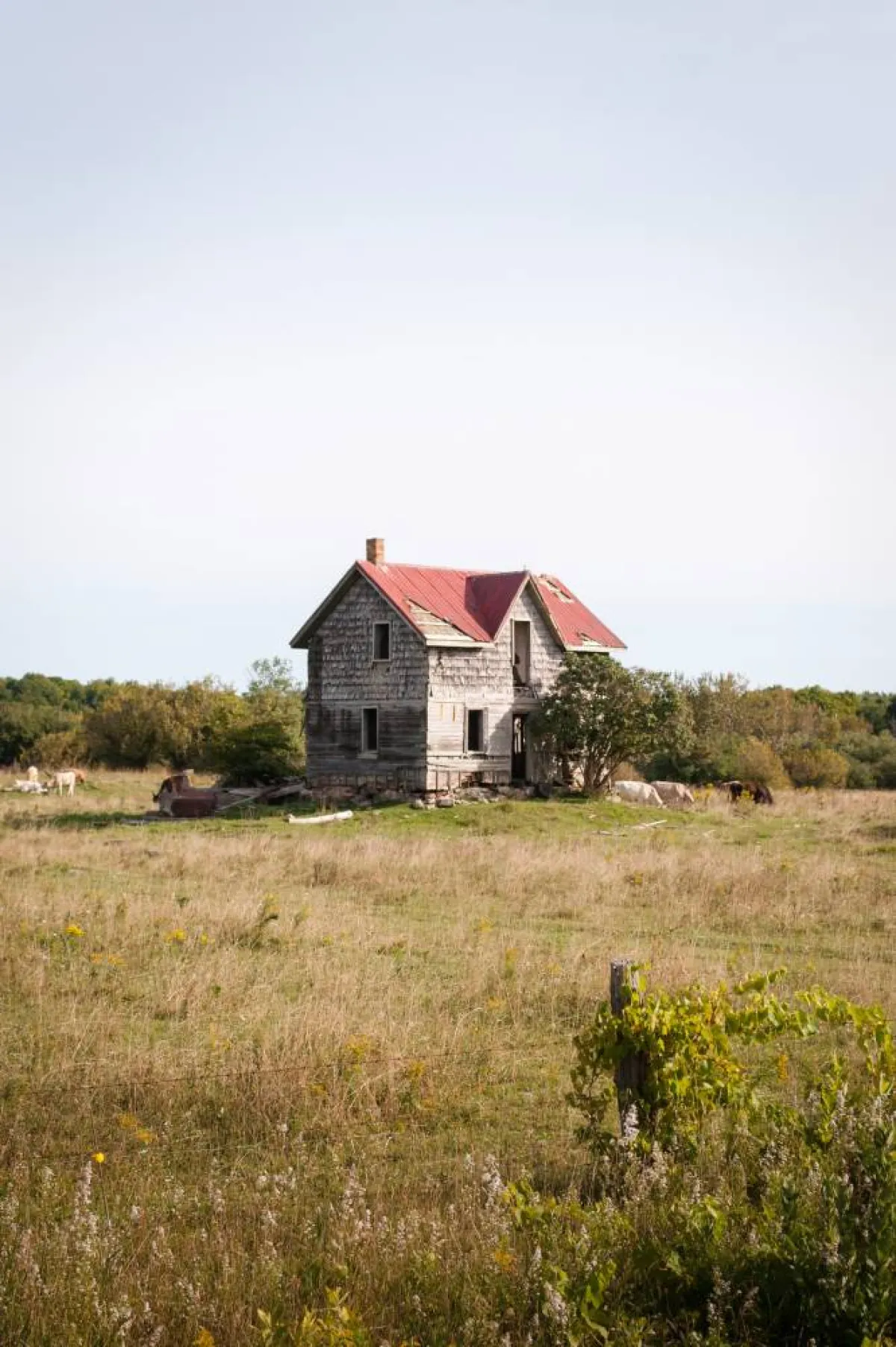 منزل في مكان لا يصدق