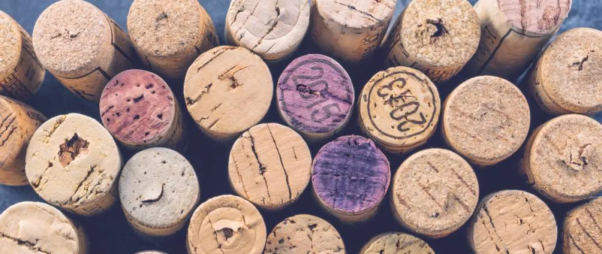 السدادات الفلين