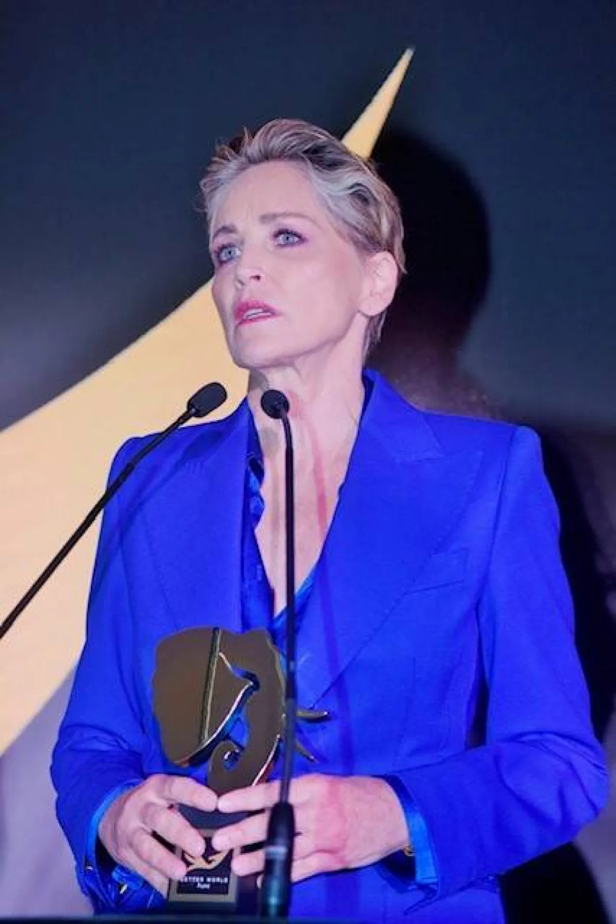 شارون ستون من المشاركين في دعم الصندوق وتوزيع الجوائز على الفائزين