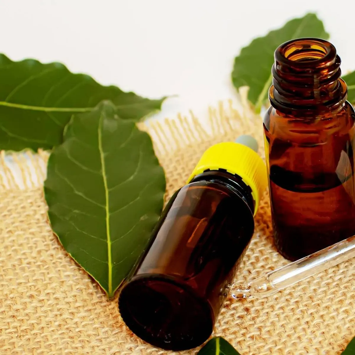 صورة لورق الشاي علاج للالتهاب