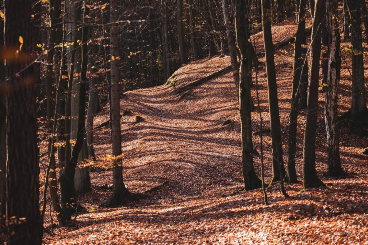 أغرب 10 أماكن على وجه الأرض
