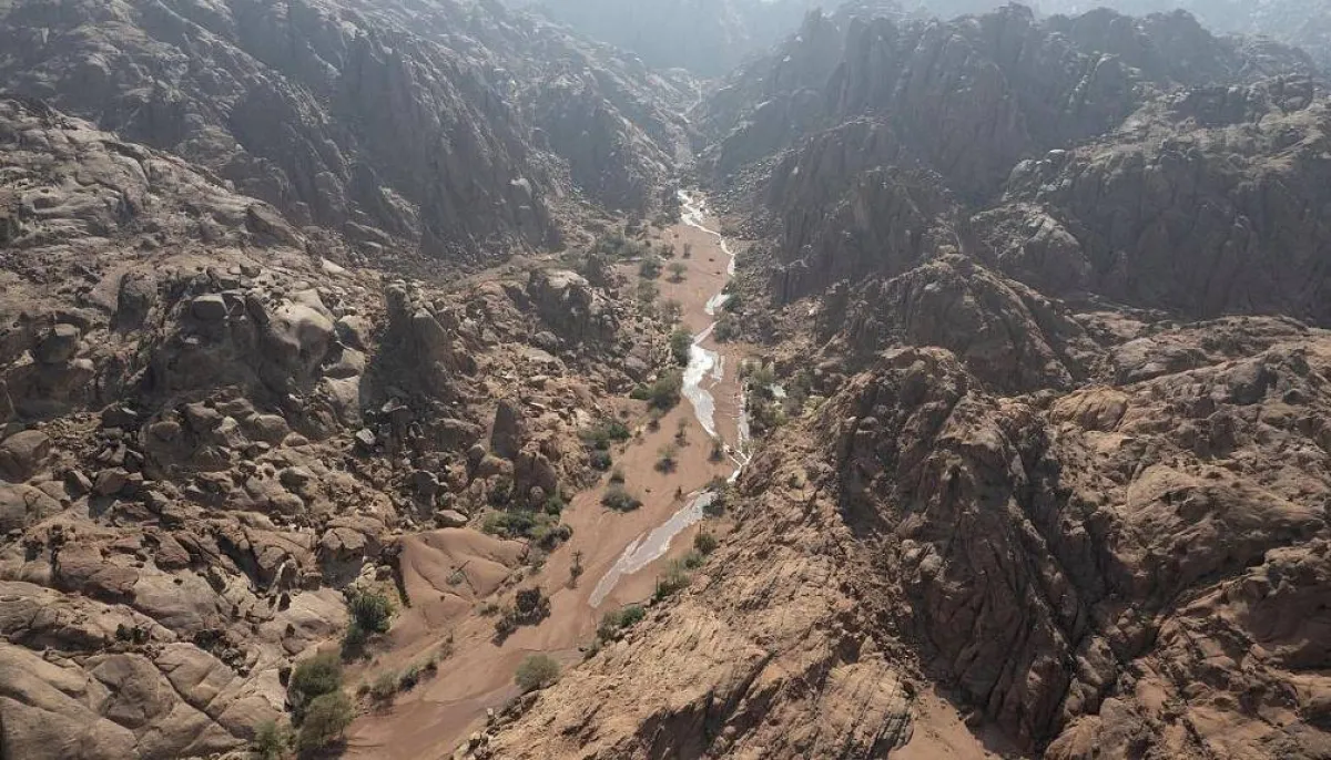 انضمام محمية الملك سلمان بن عبدالعزيز الملكية لقاعدة بيانات المحميات الطبيعية العالمية