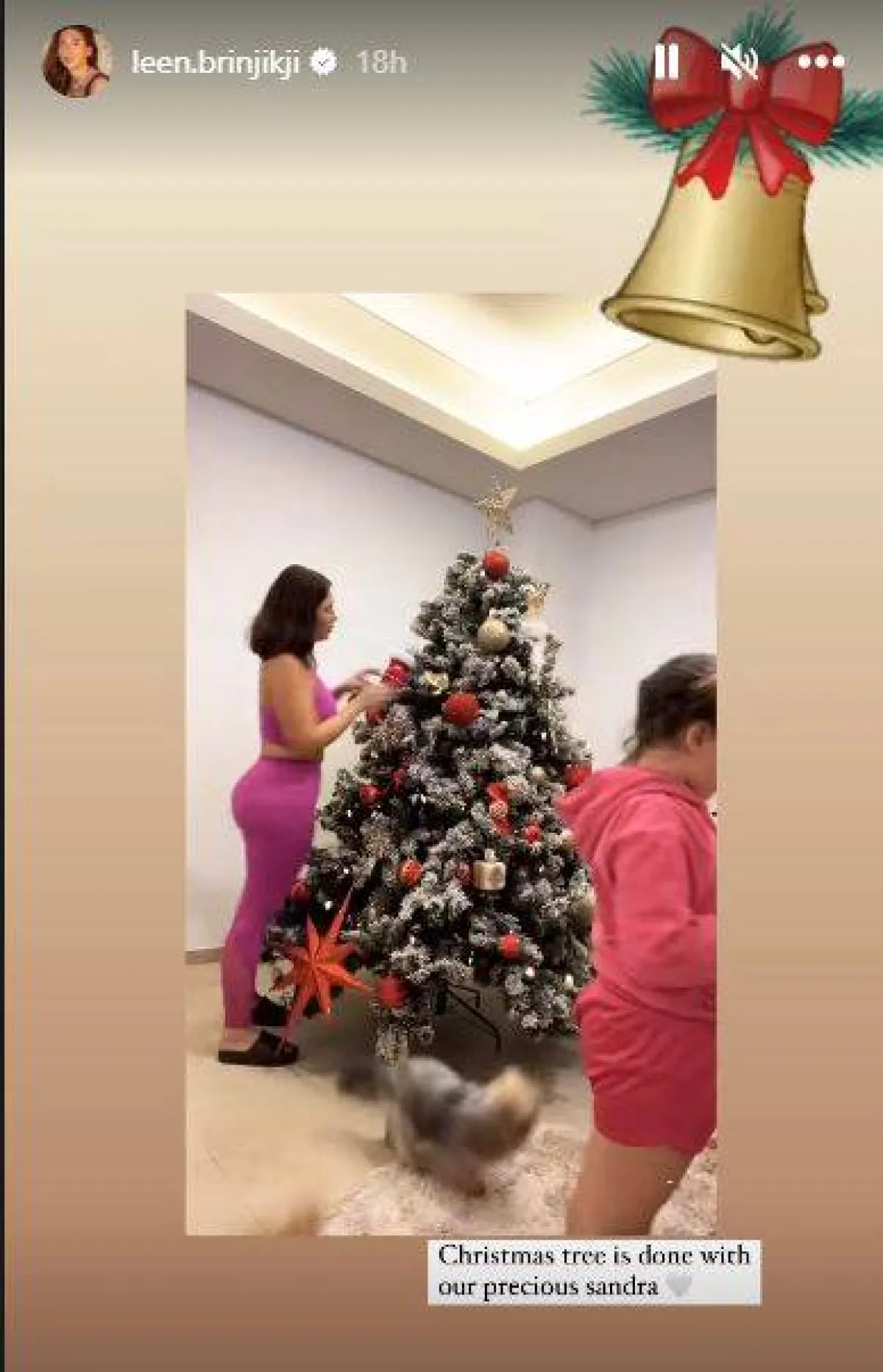 لقطة من الفيديو الذي نشرته لين برنجكجي على الستوري على حسابها على إنستغرام