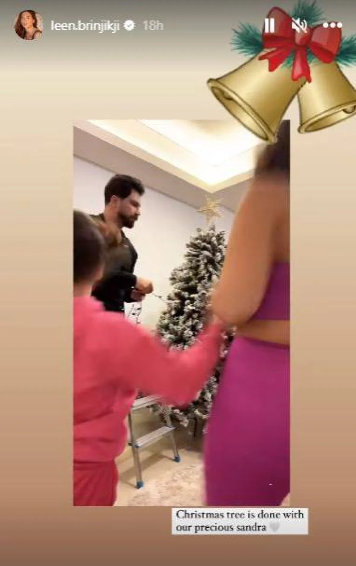 لقطة من الفيديو الذي نشرته لين برنجكجي على الستوري على حسابها على إنستغرام