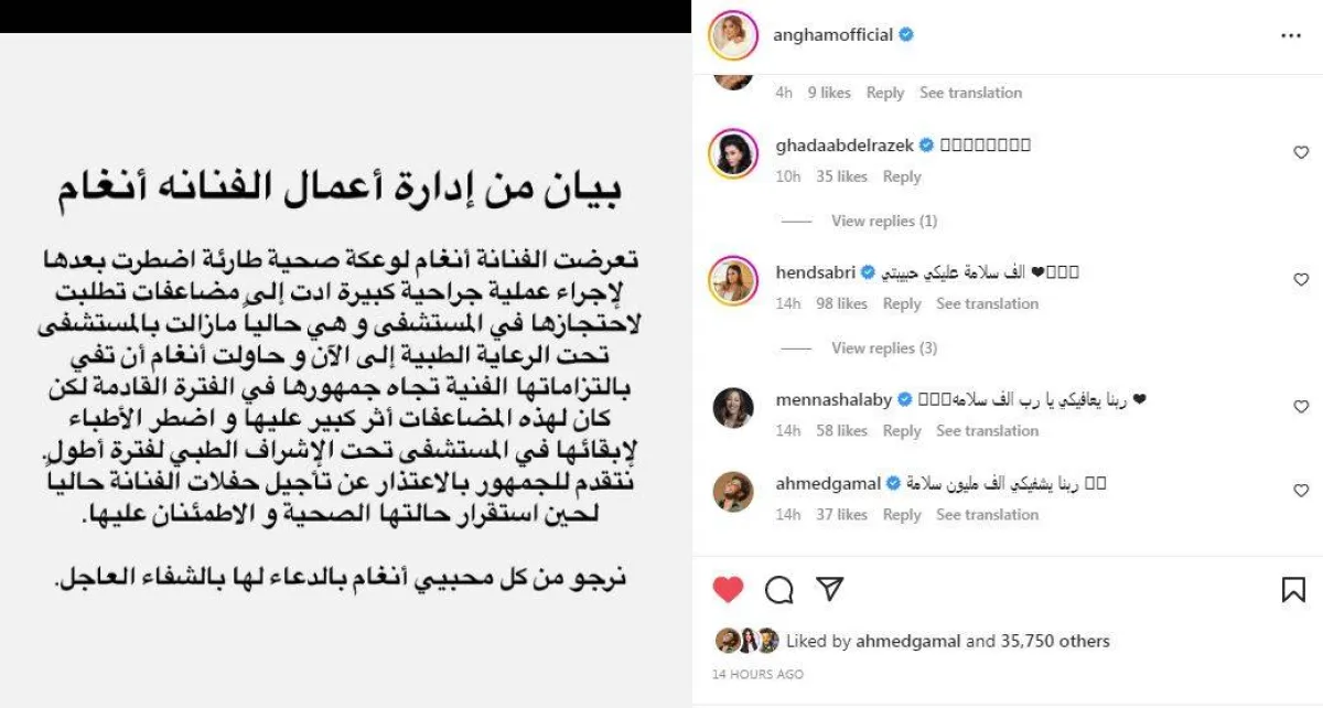 نجوم الفن يدعمون أنغام - سكرين شوت من حساب أنغام على انستغرام