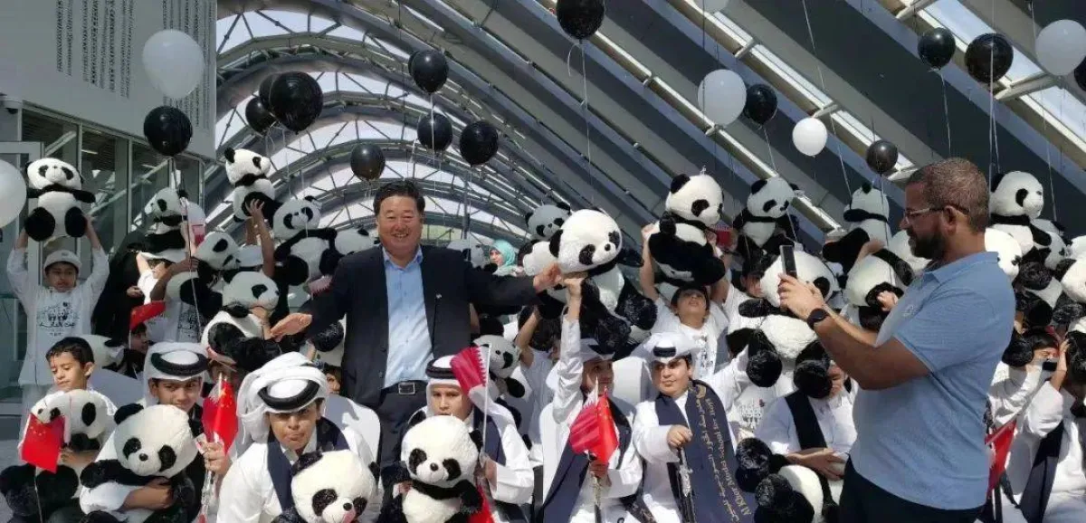 الباندا العلاقة 