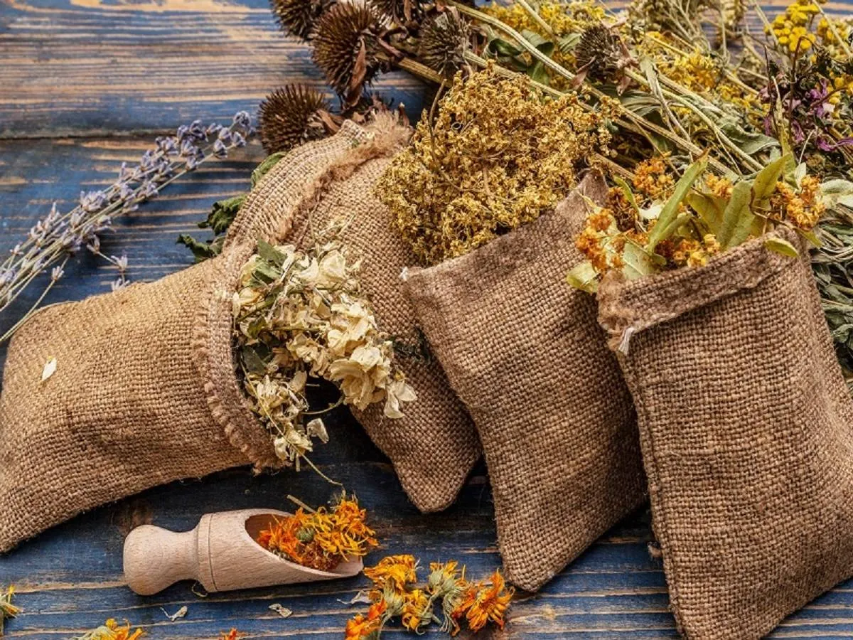 يحتوي بعض الأعشاب على مضادات الأكسدة التي تساعد في تقليل مستويات ضغط الدم  (المصدر: Adope Stock)