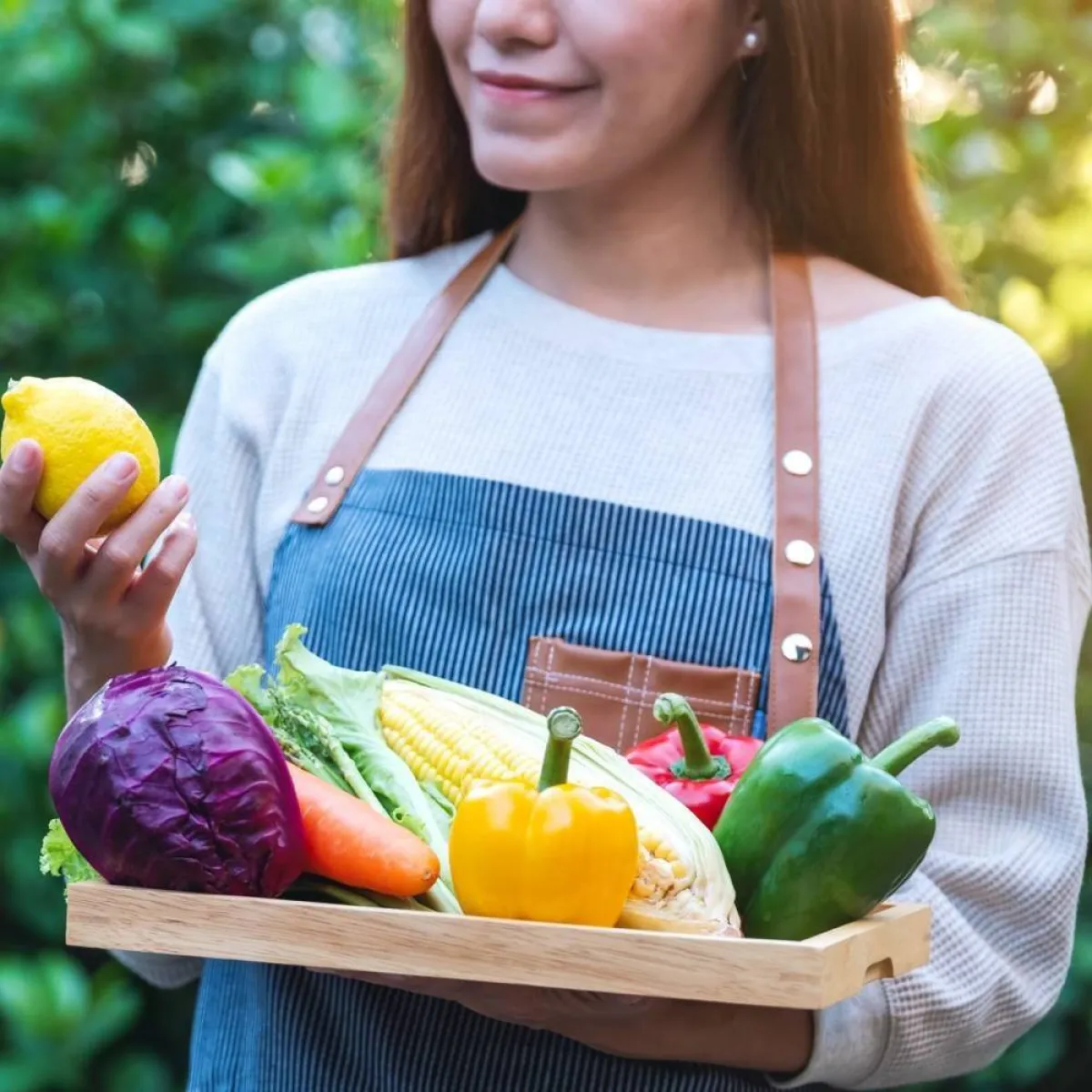 صورة لحامل ومجموعة من الفوائد