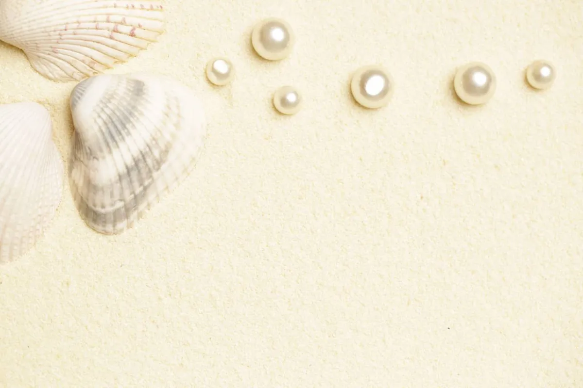 صورة للآلئ البحر