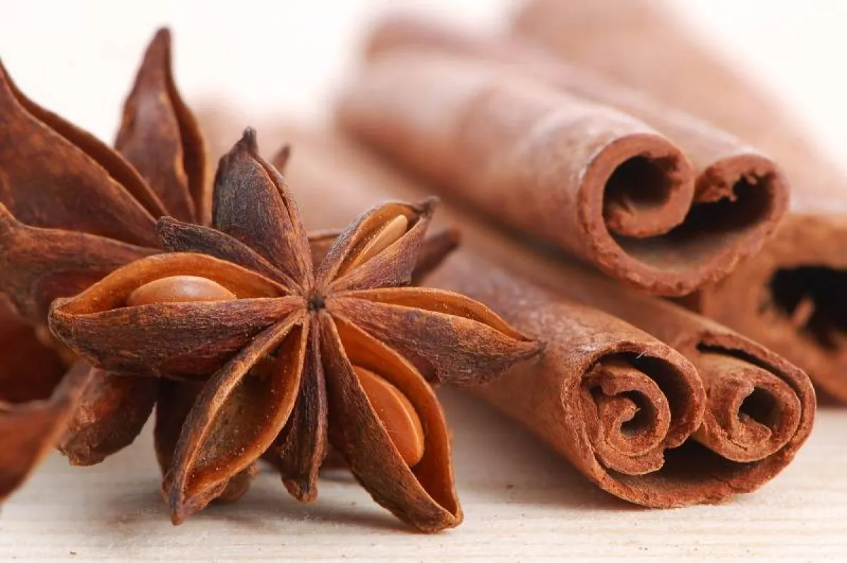 خلطات طبيعية للشعر